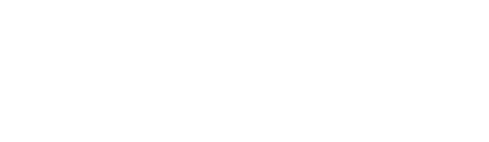 copperfly long white logo